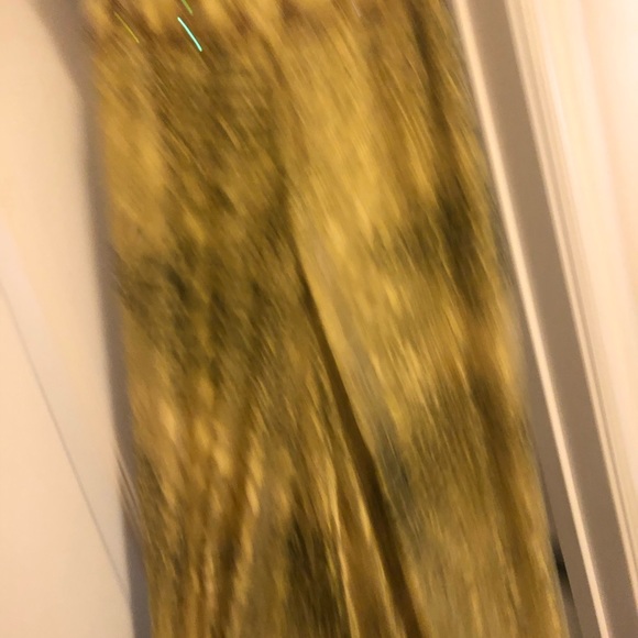 Dressed - Picture 5 of 6